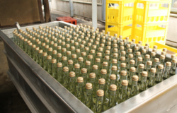 Many bottles of sake sitting in a tank, cooling down after a HIire treatment.
