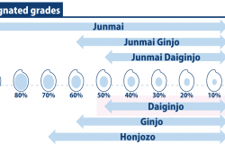 infographic of Daiginjo