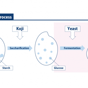 infographic of yeast
