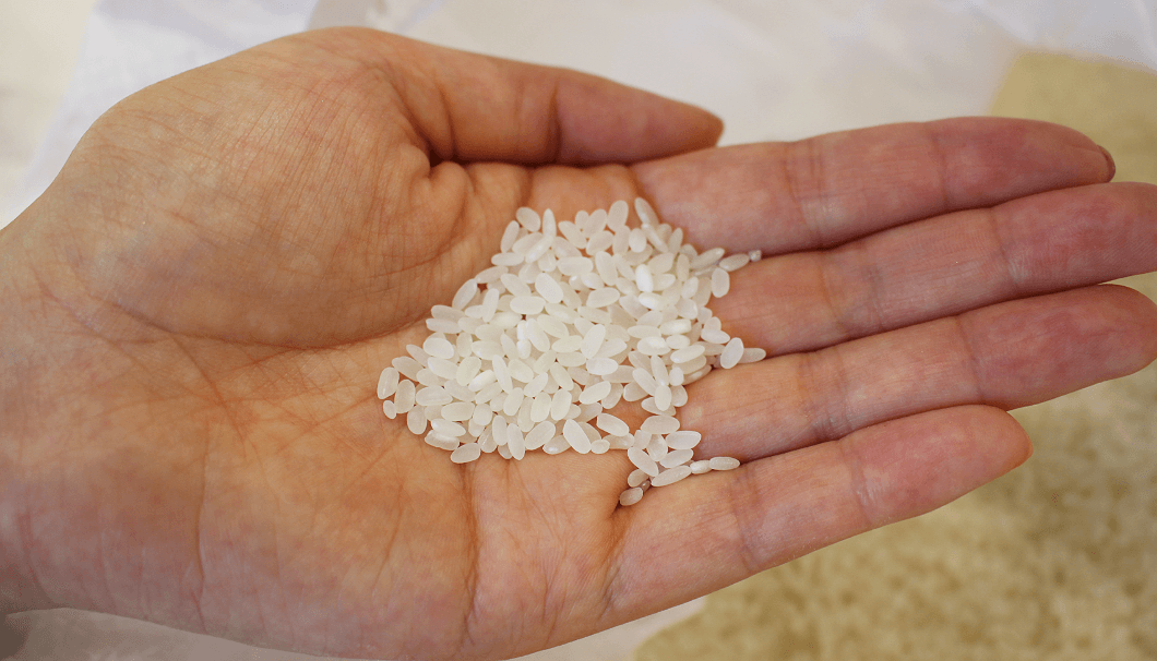 Terroir of rice