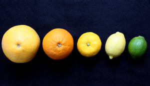  Grapefruit, Orange, Yuzu, Lemon, and Lime.