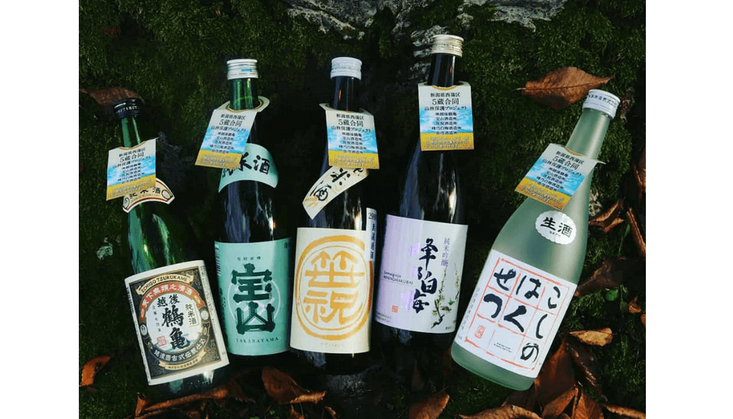 Five Niigata Sake Breweries Join Forces to Save Forests