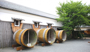 giant wooden fermentation vats